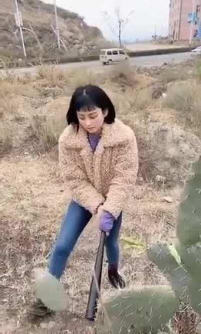 Wanna see whose boss!!