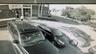 EMS let patient roll down a hill. 