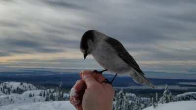 Dug myself a little snow cave and tripped balls in it :-)