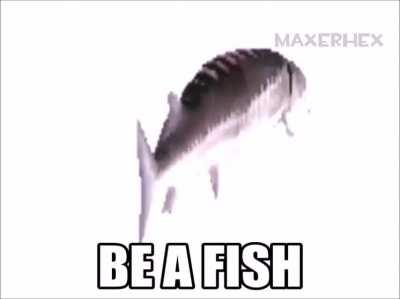 Be a Fish. (Found on Discord)