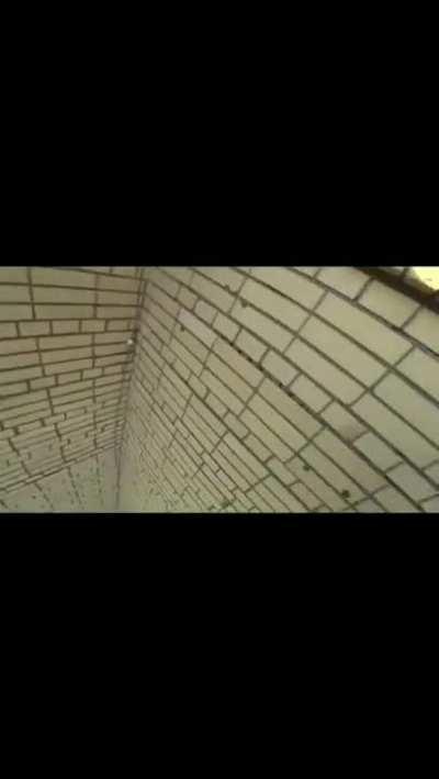 ShitpostBR - Video #4831