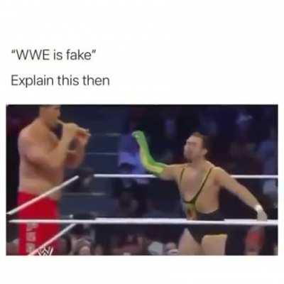 The music is controlling the snake