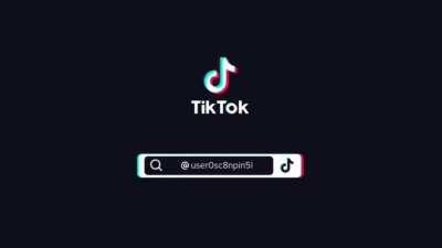 Undercover whore house