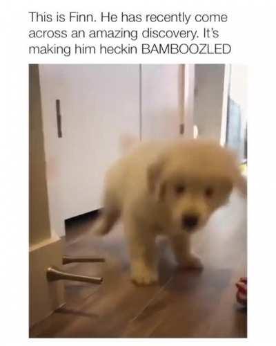 So dramatic 🥰💕