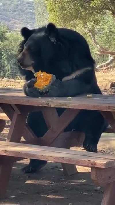 Everything is normal, you are weird.