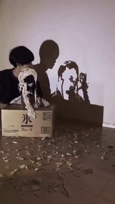 SHADOW ARTIST SHOWS OFF