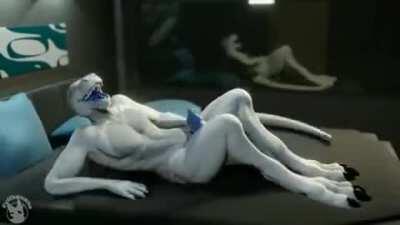 Giving Himself a Nice, Even Coat [M] (Evilbanana)