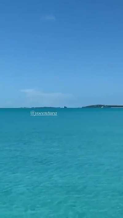 ass agaisnt the sun vid