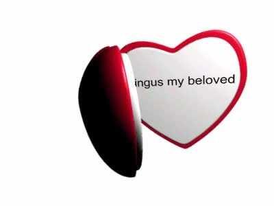 You send bingus a heart locket gif after he gives you his email (The Beggining)
