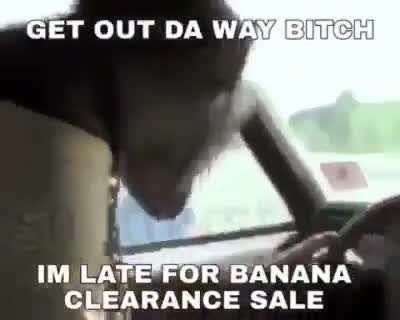 big fat rule in the middle o the road