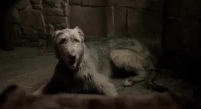 Katy McGrath - Labyrinth 