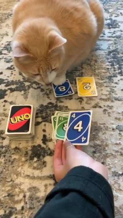 Quarantine Day ??: Uno