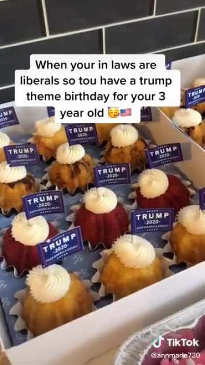 3 year old destroys libtards