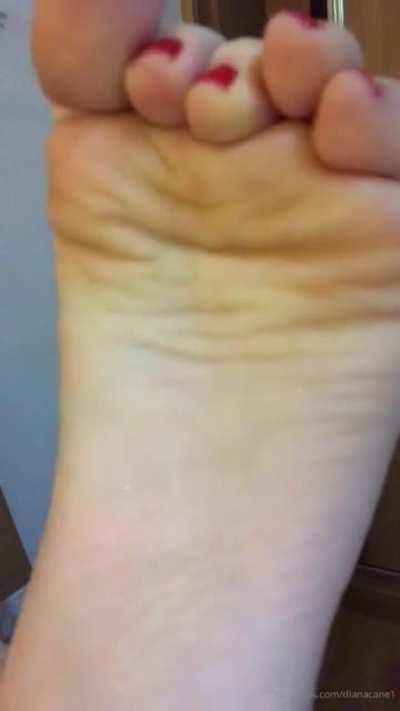 DM to buy. get your own folders stop searching