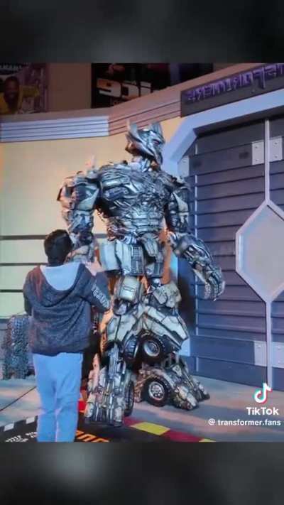 Megatron Insulting people