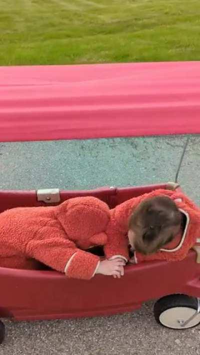 These laughs can erase a whole day of stress