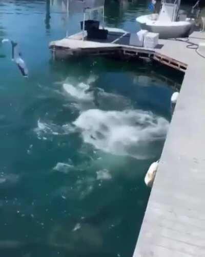 To fish without a pole