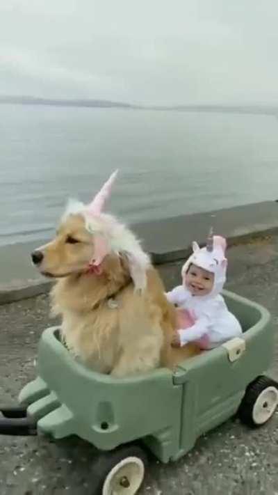 The goodest unicorn