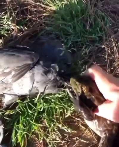 Would you have intervened?