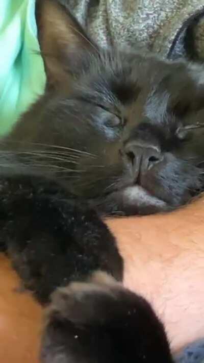 He’s a bit clingy when he naps