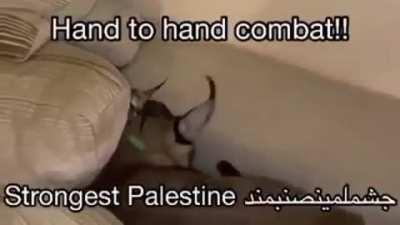إزالة الحرام 👌🦾🇵🇸 Israel = 🤢🤮 (haram 😡). 🔥🇮🇱🔥
