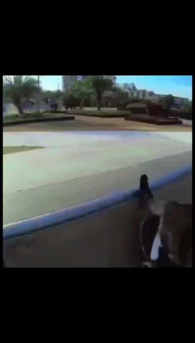 super duper skater kat