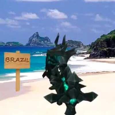 You are going to Brazil