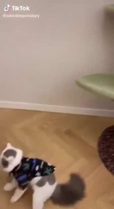 There can only be one of us