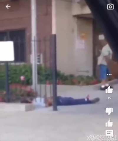 Bayzoo catches 051 chop lacking