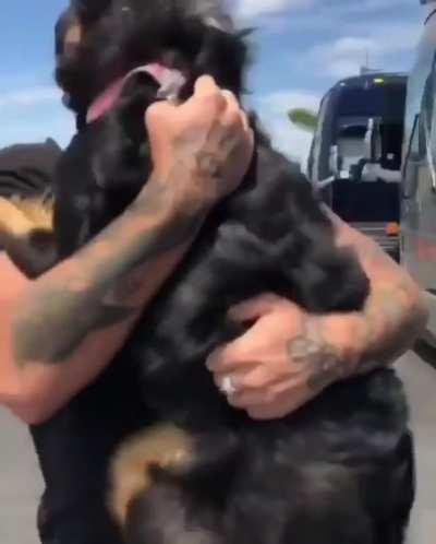 A Positive Freakout by a Doggo