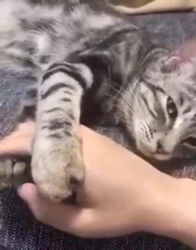Don't leave me hooman