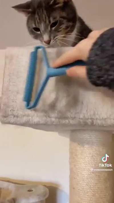 My man was flabbergasted