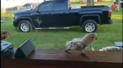 A good time for a dance party!