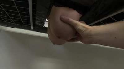 Milking Bed Clara Hucow Milking 