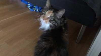 Her best “I’m not doing anything I’m not supposed to” squeak