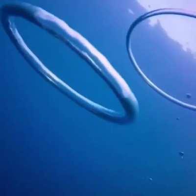 Underwater rings are sure cool thing