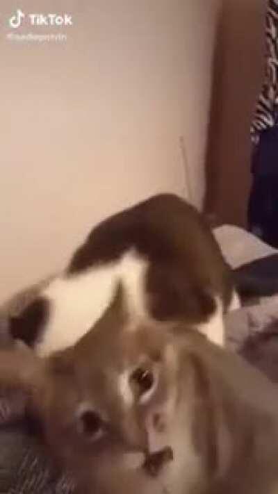 After all we've been thru