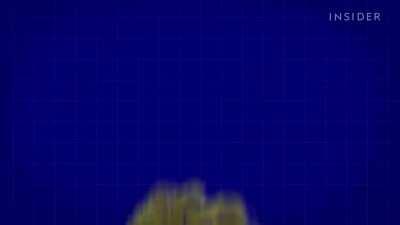 Cortiça Portuguesa no Business Insider - 2021