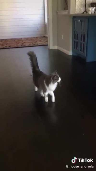 Never give up on your dreams