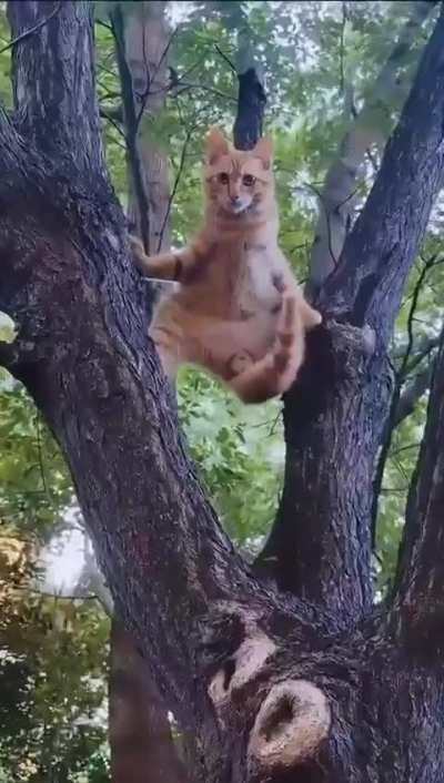 What move is this called