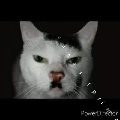 Top cosa estranha 😳😳😳