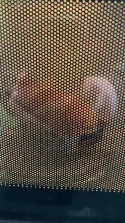 My sandwich in the microwave