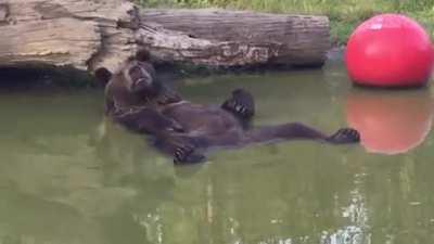 Leo enjoys a relaxing soak at the Orphaned Wildlife Center