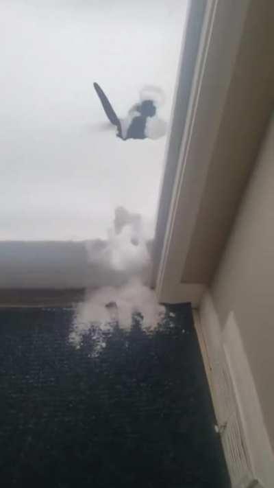 I better stay inside today