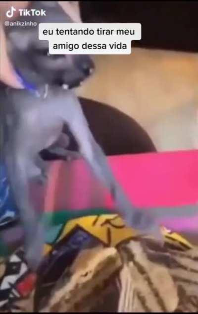 Para de jogar lol e se vc joga de lux morra