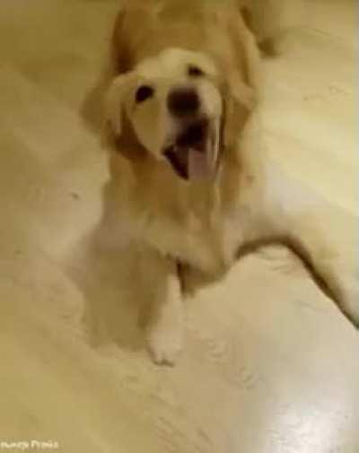 Cannot execute 'Roll Over' command