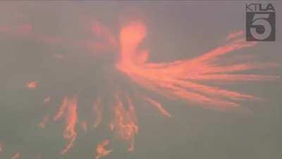 A Firenado formed today during a wildfire in Southern California.