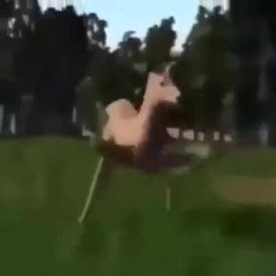 Some random cursed animal