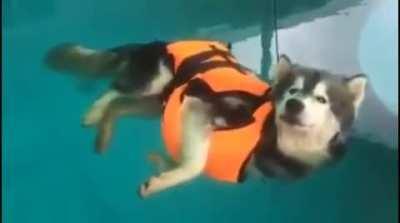 To learn how to swim