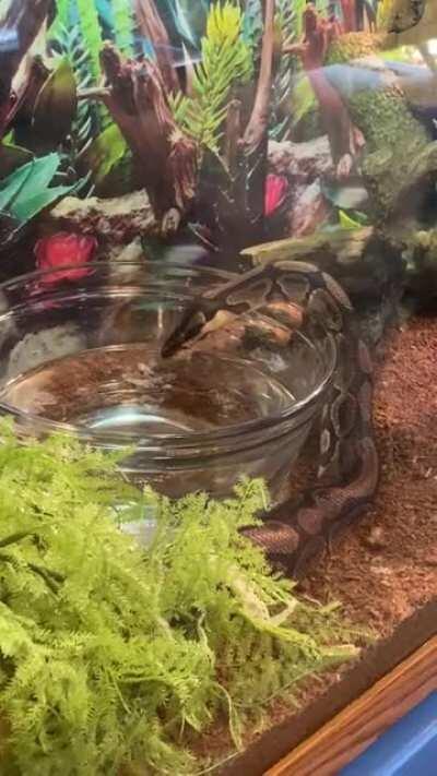 Somebody is a thirsty girl...meet my son’s 5-year old pal, Tabitha.